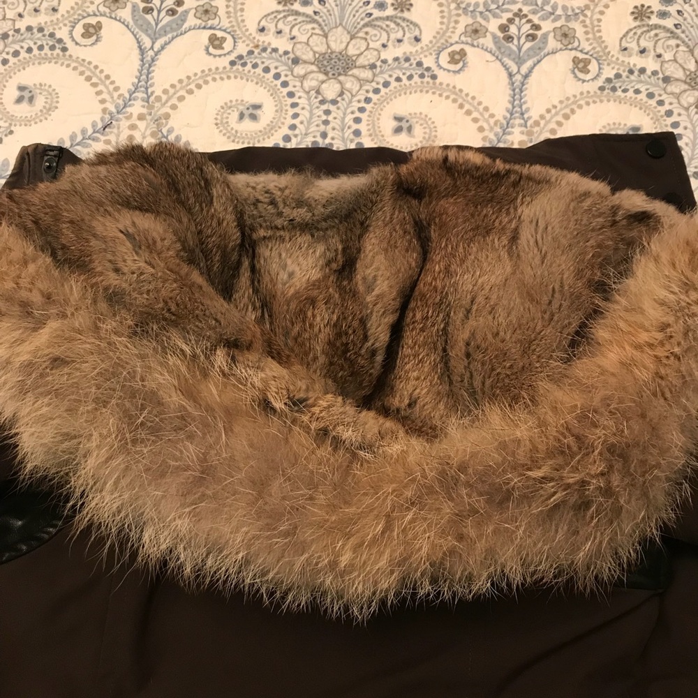 Winter Jacket - Picture 2 of 8